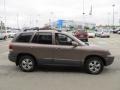 2005 Mocha Frost Beige Hyundai Santa Fe GLS  photo #8