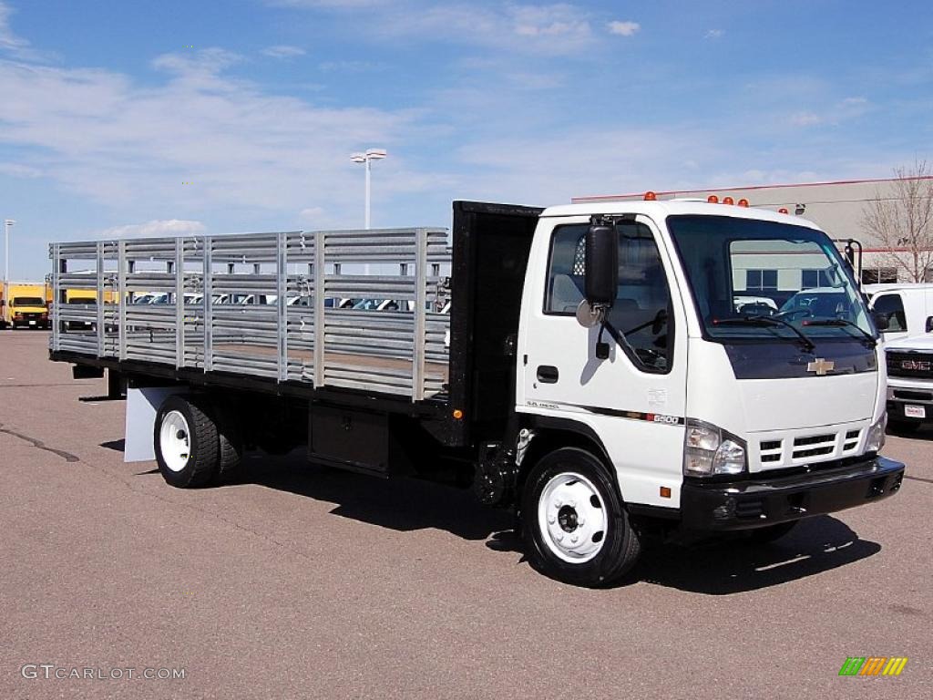 2006 W Series Truck W5500 Commercial Stake Truck - White / Gray photo #1