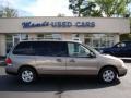 2004 Arizona Beige Metallic Ford Freestar SES  photo #1