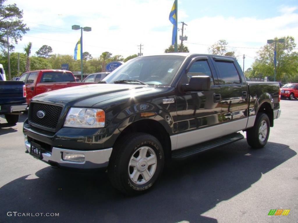2004 F150 XLT SuperCrew 4x4 - Aspen Green Metallic / Black/Medium Flint photo #4