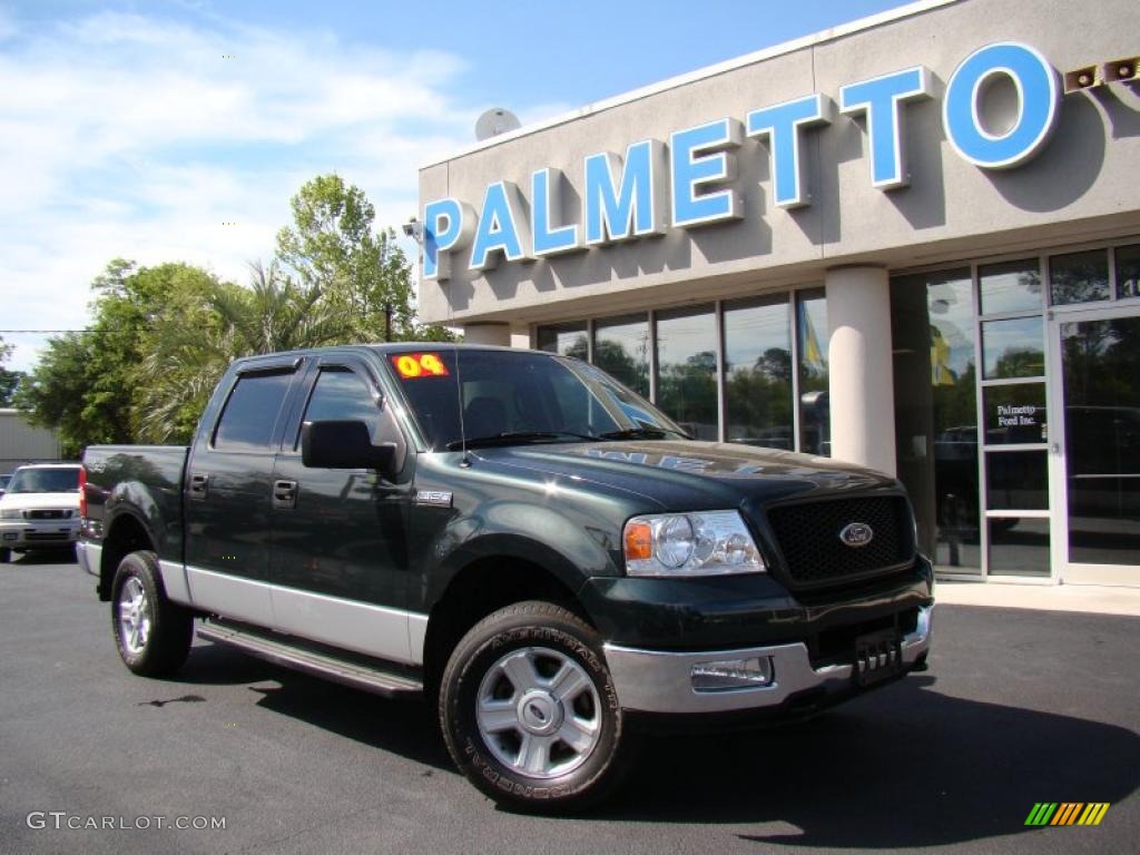 2004 F150 XLT SuperCrew 4x4 - Aspen Green Metallic / Black/Medium Flint photo #27