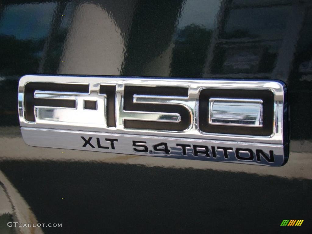 2004 F150 XLT SuperCrew 4x4 - Aspen Green Metallic / Black/Medium Flint photo #32