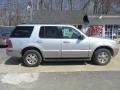 Silver Frost Metallic - Mountaineer AWD Photo No. 9