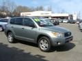 2007 Everglade Metallic Toyota RAV4 4WD  photo #1