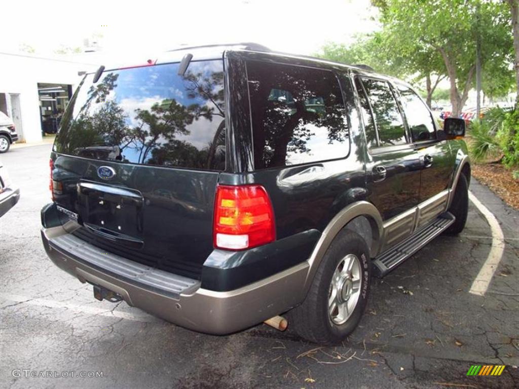 2003 Expedition Eddie Bauer - Aspen Green Metallic / Medium Parchment photo #2
