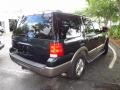 2003 Aspen Green Metallic Ford Expedition Eddie Bauer  photo #2
