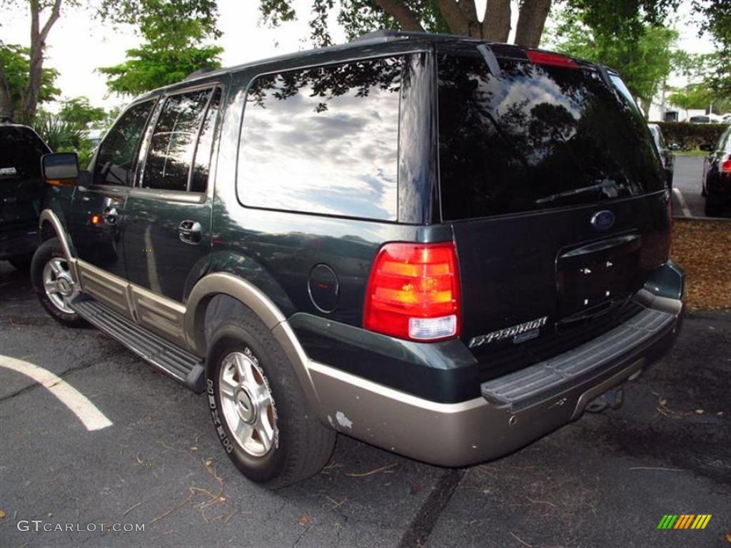 2003 Expedition Eddie Bauer - Aspen Green Metallic / Medium Parchment photo #3