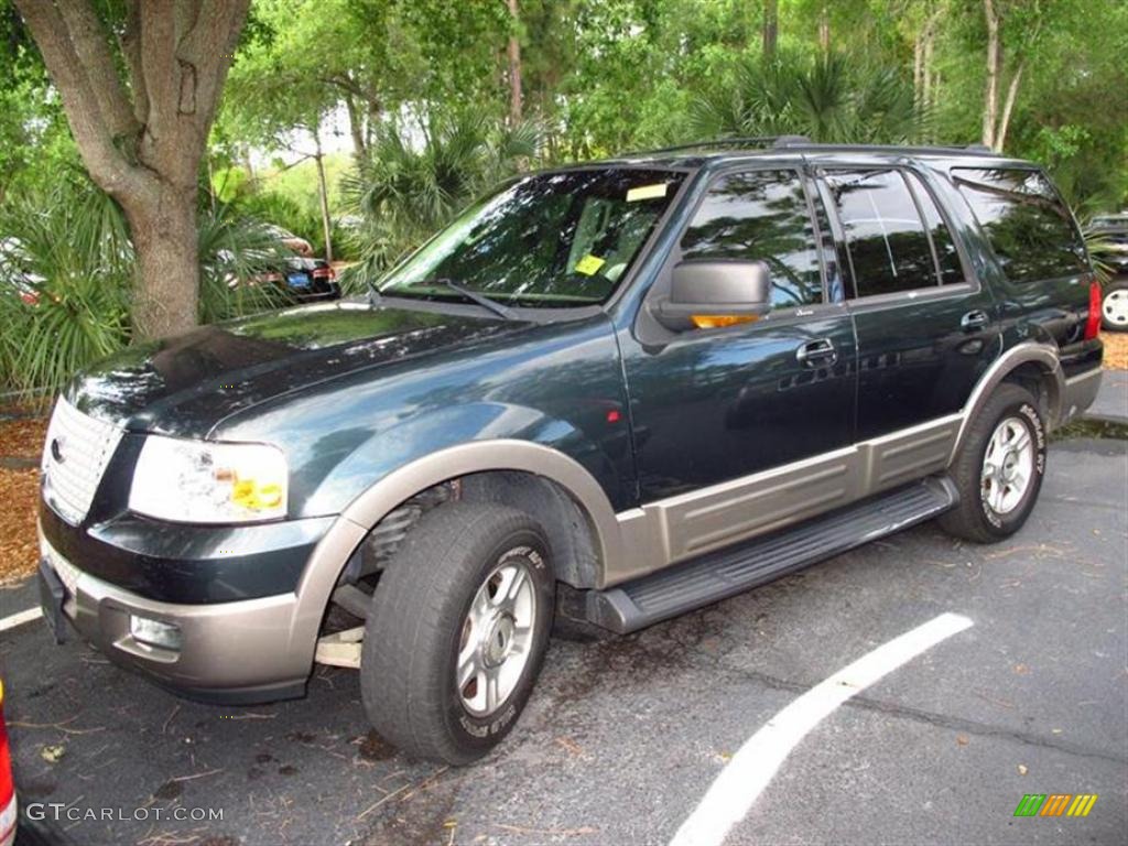 2003 Expedition Eddie Bauer - Aspen Green Metallic / Medium Parchment photo #4