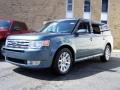 Steel Blue Metallic 2010 Ford Flex SEL Exterior