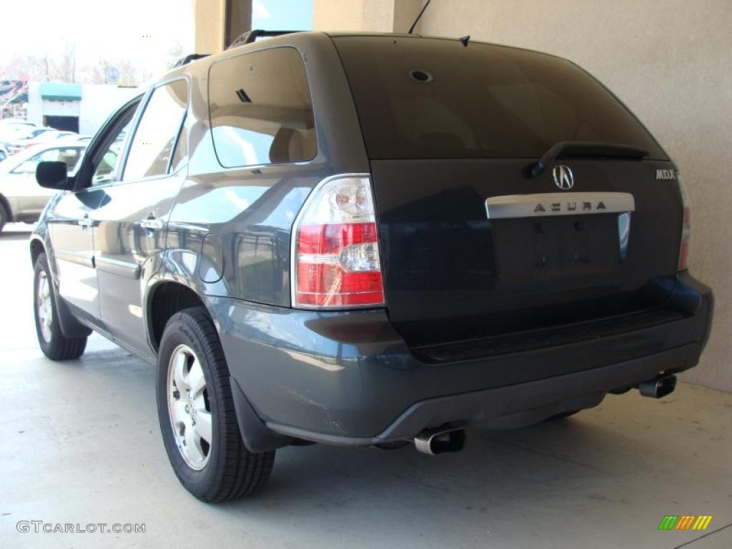 2004 MDX  - Sagebrush Pearl / Quartz photo #5
