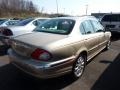 2002 Topaz Metallic Jaguar X-Type 2.5  photo #2