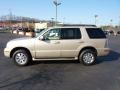 2006 Light French Silk Metallic Mercury Mountaineer Luxury AWD  photo #6