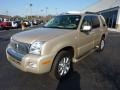 2006 Light French Silk Metallic Mercury Mountaineer Luxury AWD  photo #10