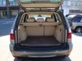 Platinum Bronze Metallic - X3 3.0si Photo No. 10
