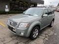 2008 Moss Green Mercury Mariner V6 Premier Voga Package  photo #4