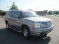 Silver Sand - Escalade AWD Photo No. 7