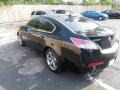 2009 Crystal Black Pearl Acura TL 3.7 SH-AWD  photo #5