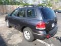 2005 Pewter Gray Hyundai Santa Fe GLS 4WD  photo #4