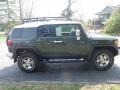 2010 Army Green Toyota FJ Cruiser 4WD  photo #2