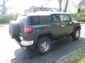 2010 Army Green Toyota FJ Cruiser 4WD  photo #3