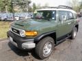 2010 Army Green Toyota FJ Cruiser 4WD  photo #7