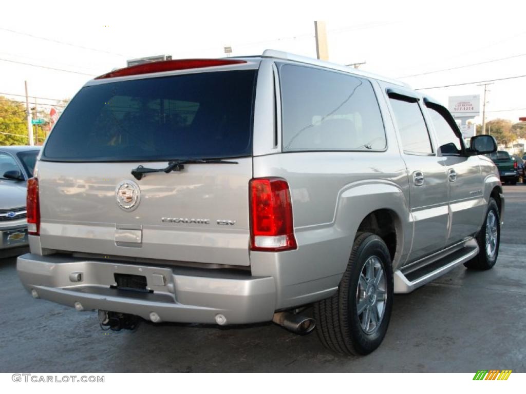 2004 Escalade ESV AWD - Quicksilver / Pewter Gray photo #17