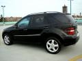 Black - ML 350 4Matic Photo No. 5