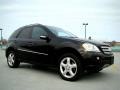 Black - ML 350 4Matic Photo No. 18