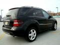 Black - ML 350 4Matic Photo No. 44