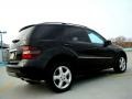 Black - ML 350 4Matic Photo No. 45