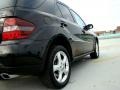 Black - ML 350 4Matic Photo No. 47