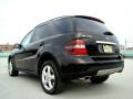 Black - ML 350 4Matic Photo No. 48