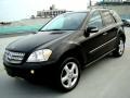 Black - ML 350 4Matic Photo No. 59