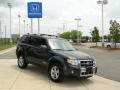 2008 Black Pearl Slate Metallic Ford Escape Limited  photo #2