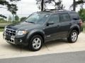 2008 Black Pearl Slate Metallic Ford Escape Limited  photo #10