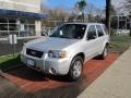 Silver Metallic 2005 Ford Escape Limited 4WD
