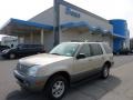 Light French Silk Metallic - Mountaineer V6 AWD Photo No. 1