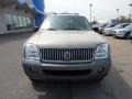 Light French Silk Metallic - Mountaineer V6 AWD Photo No. 6