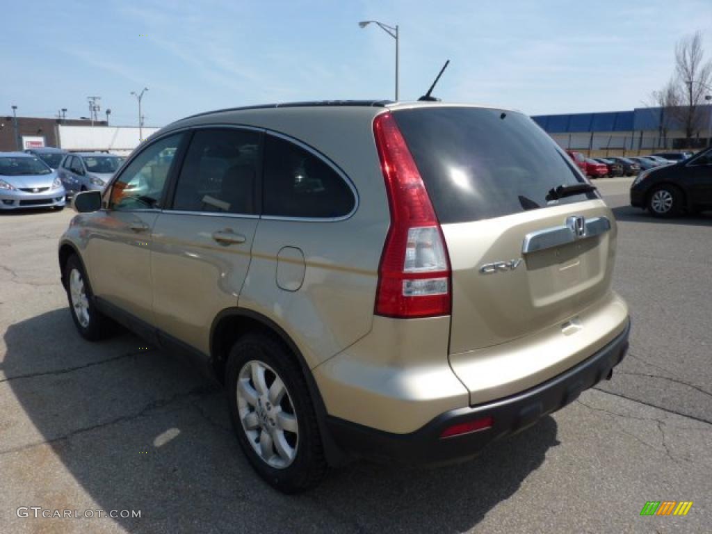 2009 CR-V EX-L 4WD - Borrego Beige Metallic / Ivory photo #2