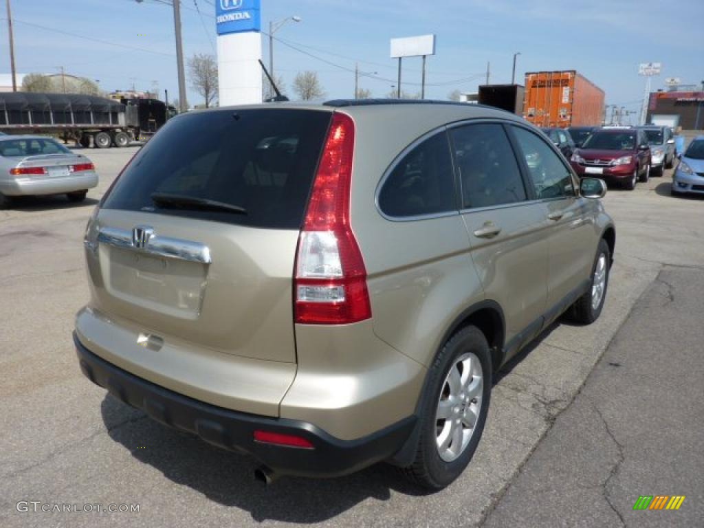 2009 CR-V EX-L 4WD - Borrego Beige Metallic / Ivory photo #4