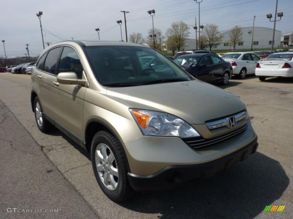 2009 CR-V EX-L 4WD - Borrego Beige Metallic / Ivory photo #5