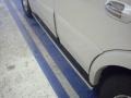 2006 Light French Silk Metallic Lincoln Navigator Luxury 4x4  photo #17