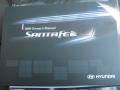 2009 Ebony Black Hyundai Santa Fe SE 4WD  photo #21