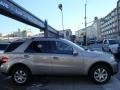 Pewter Metallic - ML 350 4Matic Photo No. 4