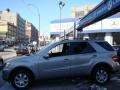 Pewter Metallic - ML 350 4Matic Photo No. 8