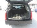 Black Raven - SRX V6 Photo No. 8