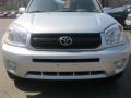 Titanium Metallic - RAV4 4WD Photo No. 6