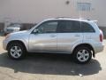 Titanium Metallic - RAV4 4WD Photo No. 11