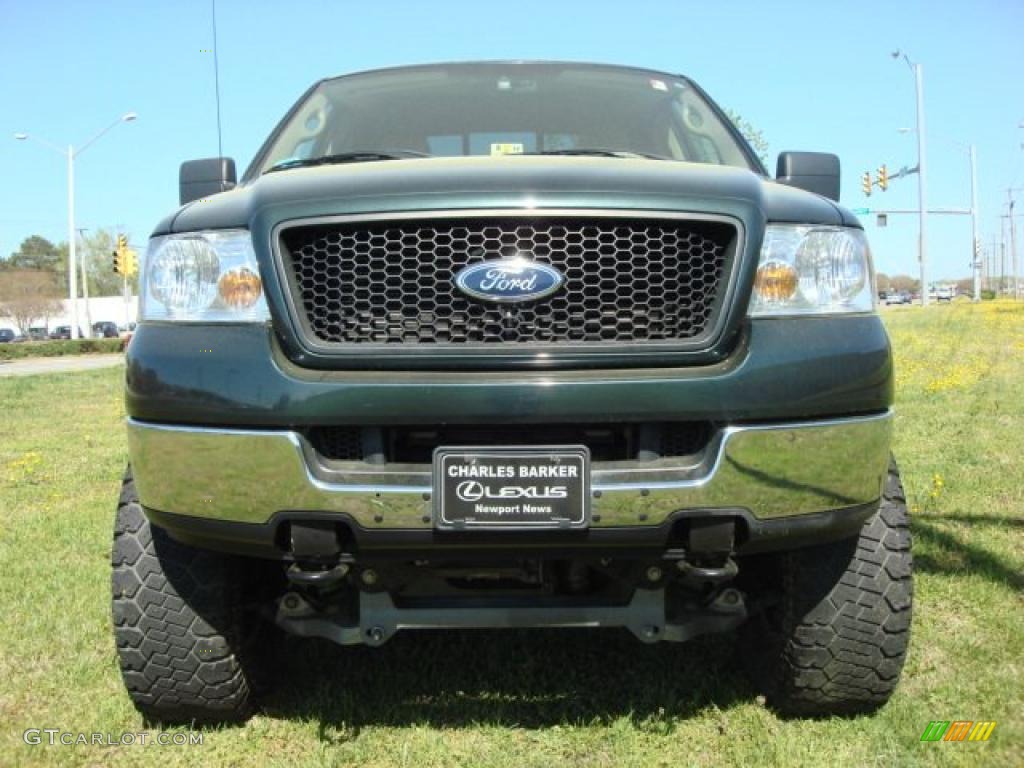 2005 F150 XLT SuperCab 4x4 - Aspen Green Metallic / Tan photo #8