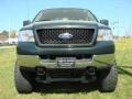 2005 Aspen Green Metallic Ford F150 XLT SuperCab 4x4  photo #8